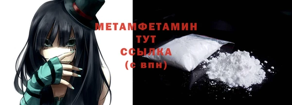 ГАЛЛЮЦИНОГЕННЫЕ ГРИБЫ Бородино