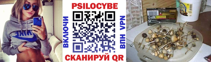 Псилоцибиновые грибы мицелий  Купить  Видное 